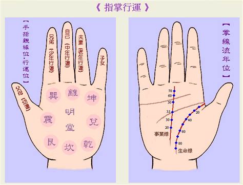 面向怎麼看|【图文教学】如何看面相，手相，自断吉凶不求人